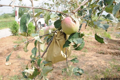 �������꣺���������ز鿴ũҵ���ּ�����ƻ��ʾ��԰�������2