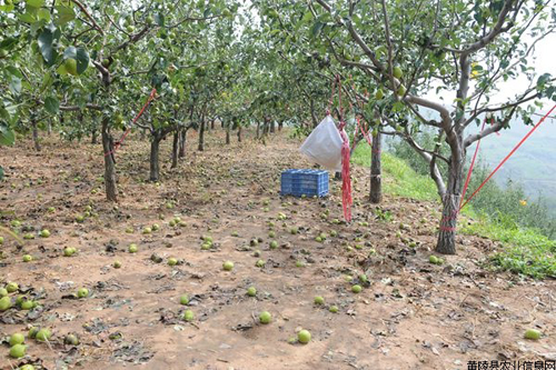 �������꣺���������ز鿴ũҵ���ּ�����ƻ��ʾ��԰�������3