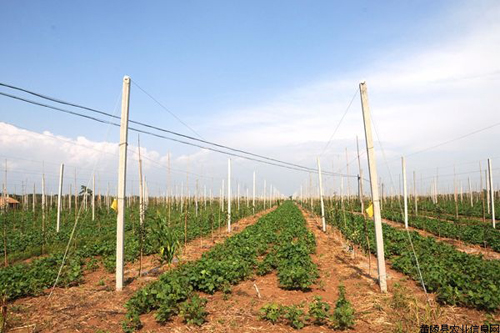 �������꣺���������ز鿴ũҵ���ּ�����ƻ��ʾ��԰�������4