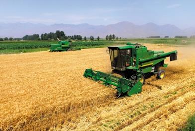 ����ũ��������������