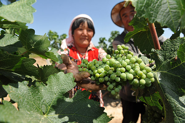 ���������У������̾���̬�������ġ��¸�·��