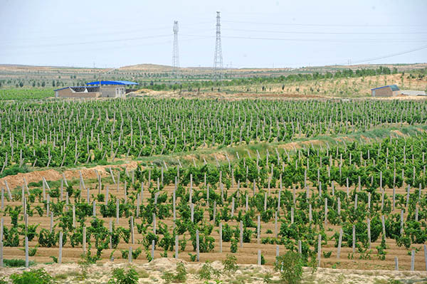 �����к��±����ľ�Ʒ���������ֲ��һ����7��3���㣩��