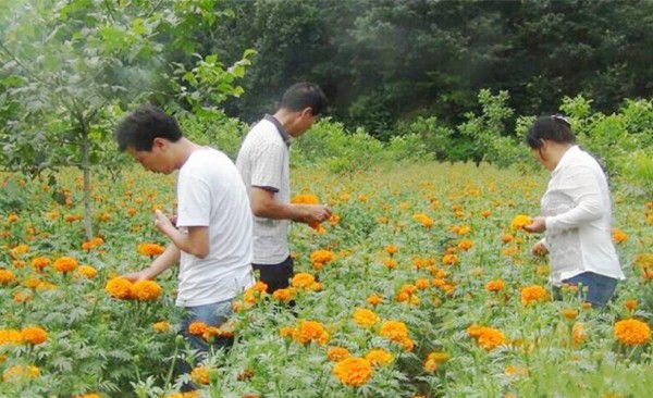 �������������ְ�1000Ķ���پշ�������