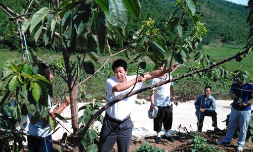 ������֣��ʡ��ҵר������֣��ָ������