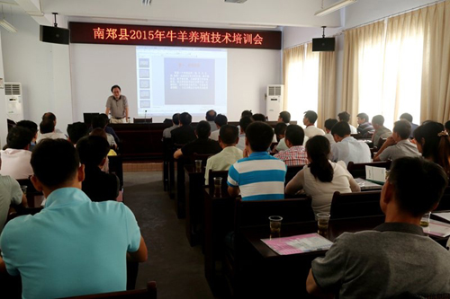 ������֣���ٰ�2015��ţ����ֳ������ѵ��2