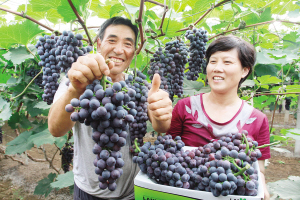 ��򱱳�˫�����Ѵ���� ũ����������ϲ��