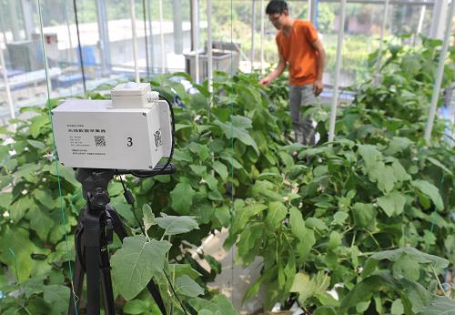 ������ũҵ�����������ִ�ũҵ��չ2