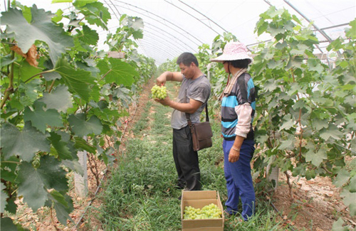 ������ƽ����ɽ������԰�� ԰�﹤�˲�ժæ