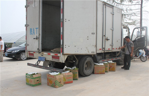 ������ƽ����ɽ������԰�� ԰�﹤�˲�ժæ3