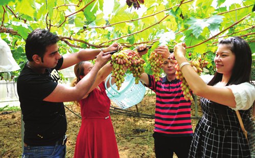 �Ĵ��ϳ��ƺ����ģ��ֲ ��Ƭ��չ ��Ķ�������ѷ���