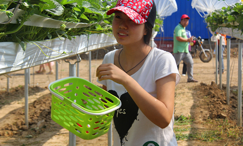 ����̫�ף�ݮ�������ժ�� �Ķ�����̫����