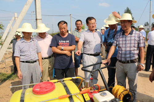 �����崨��ȫ��ˮ����ֲ԰���켼�����ֳ���Ħ���崨�ٿ�