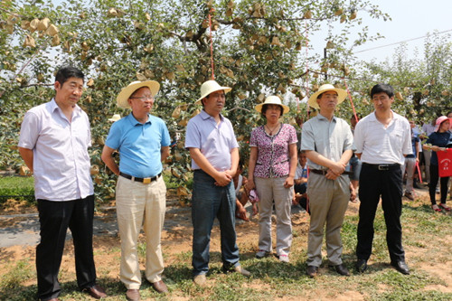 �����崨��ȫ��ˮ����ֲ԰���켼�����ֳ���Ħ���崨�ٿ�2