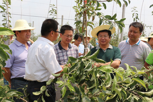 �����崨��ȫ��ˮ����ֲ԰���켼�����ֳ���Ħ���崨�ٿ�3