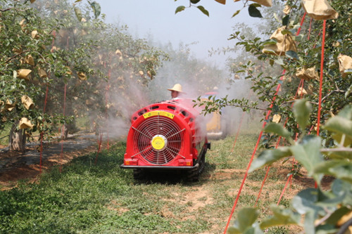 �����崨��ȫ��ˮ����ֲ԰���켼�����ֳ���Ħ���崨�ٿ�4