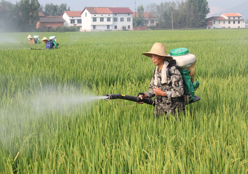 �������أ�С���´�ˮ��������һ�硱����980Ķ