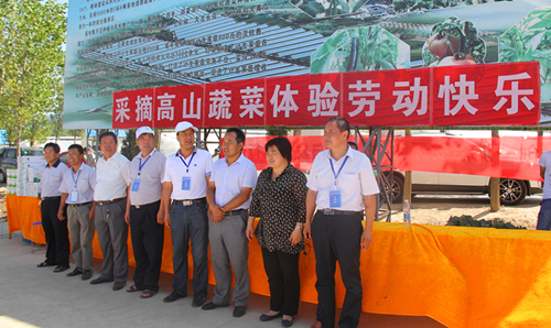 ����̫�ף���ժ��ɽ�߲� �����Ͷ�����