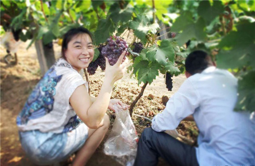 ������ƽ��������������԰���������ִ�ũҵ԰�����ѿ�԰��ժ��2