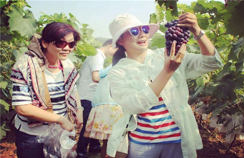 ������ƽ��������������԰���������ִ�ũҵ԰�����ѿ�԰��ժ��3