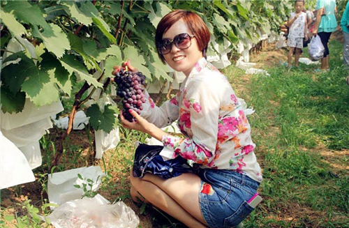 ������ƽ��������������԰���������ִ�ũҵ԰�����ѿ�԰��ժ��4