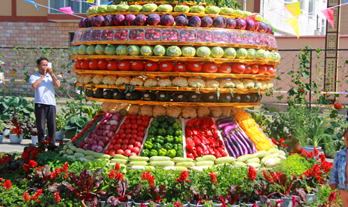 ����̫�ף���̬��԰��̫�� ����ζ����ɽ��3