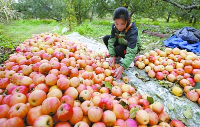 ����˳�壺���յ��ۿ�sale