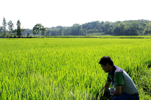 �������磺ˮ����������������