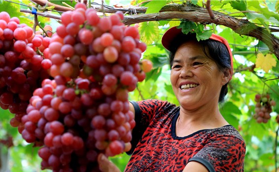 �Ĵ������������ɴ�ʱ��ռ������г�