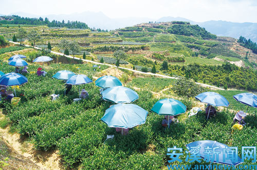 ������Ϫ������ժ������