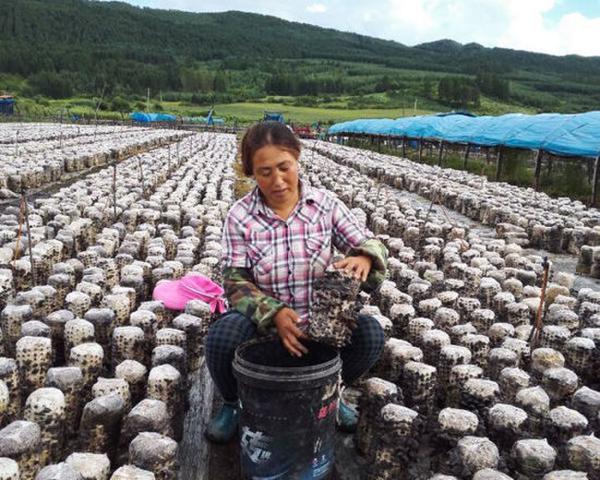 ����ʡ�����ľ��ƾʲô����ȫ���г���