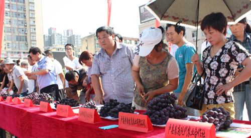 �������أ�����������Ļ�����ȫ�������ƽ���ʽ����