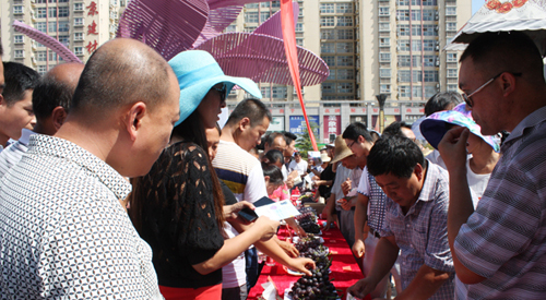 �������أ�����������Ļ�����ȫ�������ƽ���ʽ����5