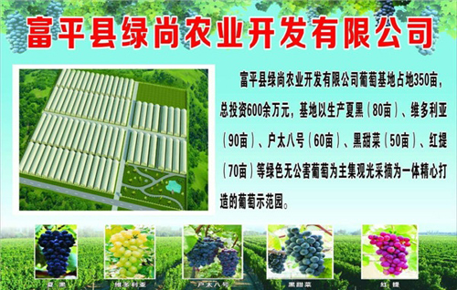 ������ƽ���ǹ�԰������ũҵ���Ѳ�ժ����ʼ�ˣ�4