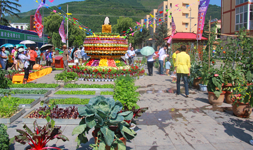 ����̫�ף�ѩ���߲˽������ִ�ũҵ��չ2