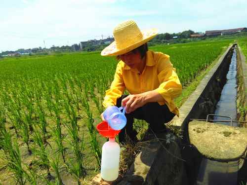 ���ϲ������ؽ�����Ⱦ�����޸��Ż�ˮ�ֹ�������ȫ��չ��