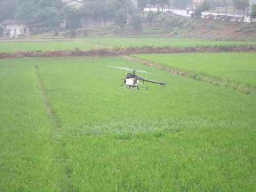 ���������� ũ�����˻��ɷ���ҵ��ո¶ͷ�ǡ�