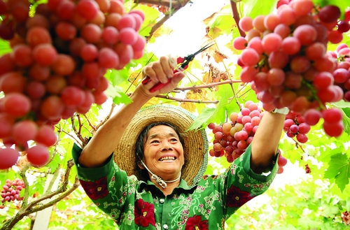 �Ĵ�ʡ�����У��ƽ���ƶģʽ ��չ��������ҵ��