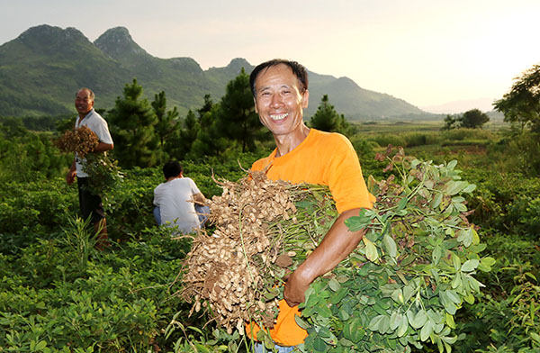 ������Զ��߸��������ٷ���