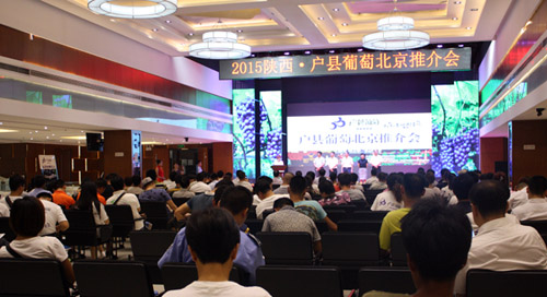 �������أ�������Ʈ����