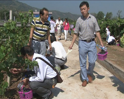 ��������ٰ��������ˮ����ժ�ڻ