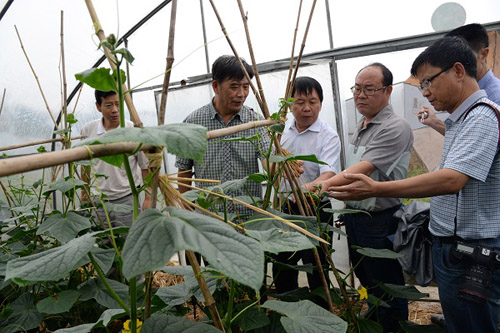 �����������й�ũ��Ժר�������������и����߲˲�ҵ��չ���