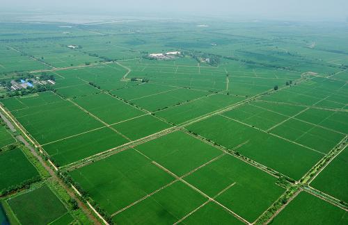 ����8��19�պ��ĵĽ���ʡ۶������԰��⡣