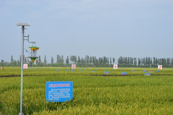 ������ͭϿ��Ҷ��ˮ��ʾ��԰����������2