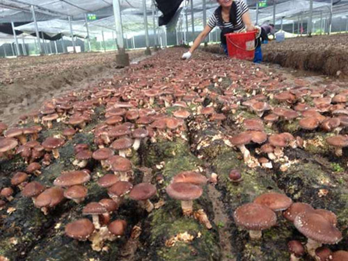 �����������ƹ㾫׼��ƶ���;���