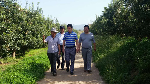 �������裺�������س������̱���ҵ��˾���ָ��ƻ�����������۹���