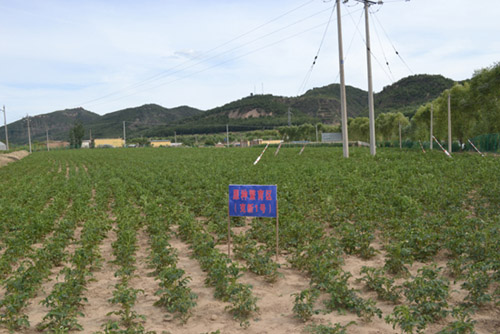 �����Ӱ���������վ���������Ѷ����������������ȫ�涽��