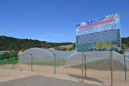 �����Ӱ���������վ���������Ѷ����������������ȫ�涽��2