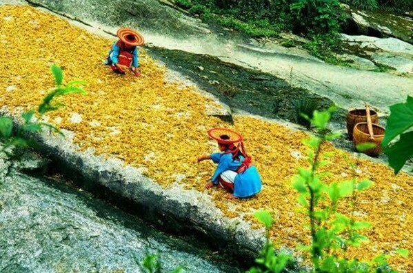 ����¡�ؽ���������ս