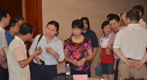 �������أ��������������ƽ�����Ϻ�Բ������