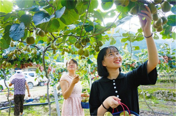 �㽭��������⨺��Ҳ�ժ����